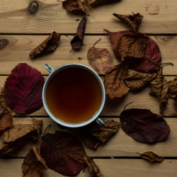 Ceai din cacao